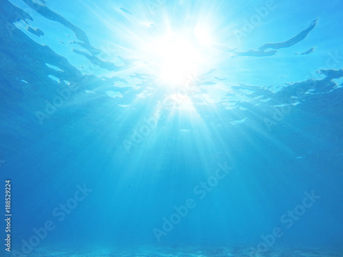 Underwater sea scene