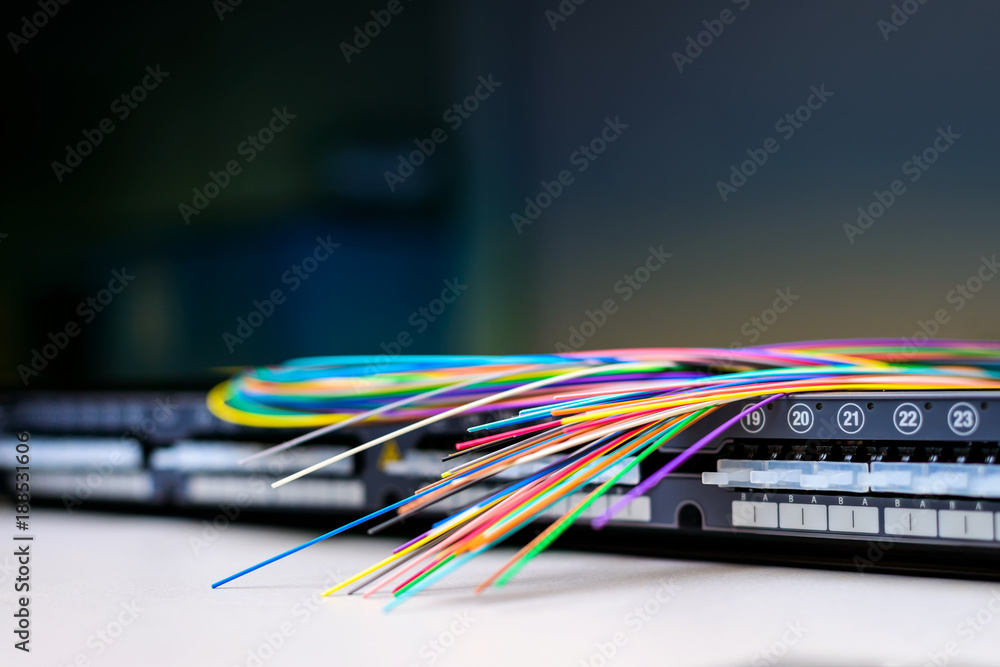 Fibre optic cables on patch distribution panel Fibre optic cables on patch distribution panel