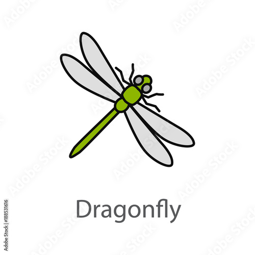 Dragonfly color icon