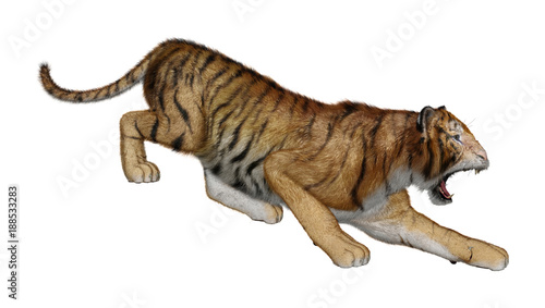 Fototapeta Naklejka Na Ścianę i Meble -  3D Rendering Big Cat Tiger on White