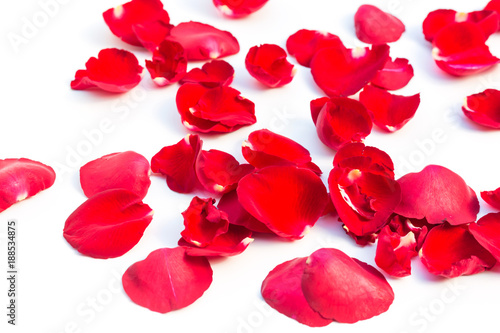 Valentines Day Made of Red rose petals Isolated on White Background.