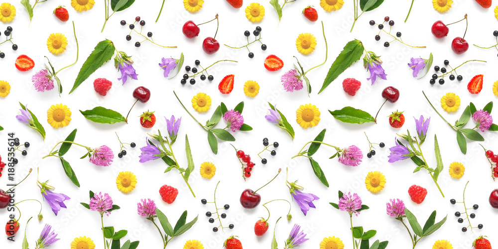 Seamless pattern from plants, wild flowers and berries, isolated on white background, flat lay, top view. The concept of summer, spring, Mother's Day, March 8. Seamless pattern from plants, wild flowers and berries, isolated on white background, flat lay, top view. The concept of summer, spring, Mother's Day, March 8.