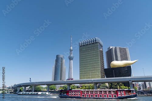 Obraz w ramie 東京スカイツリーとビル群