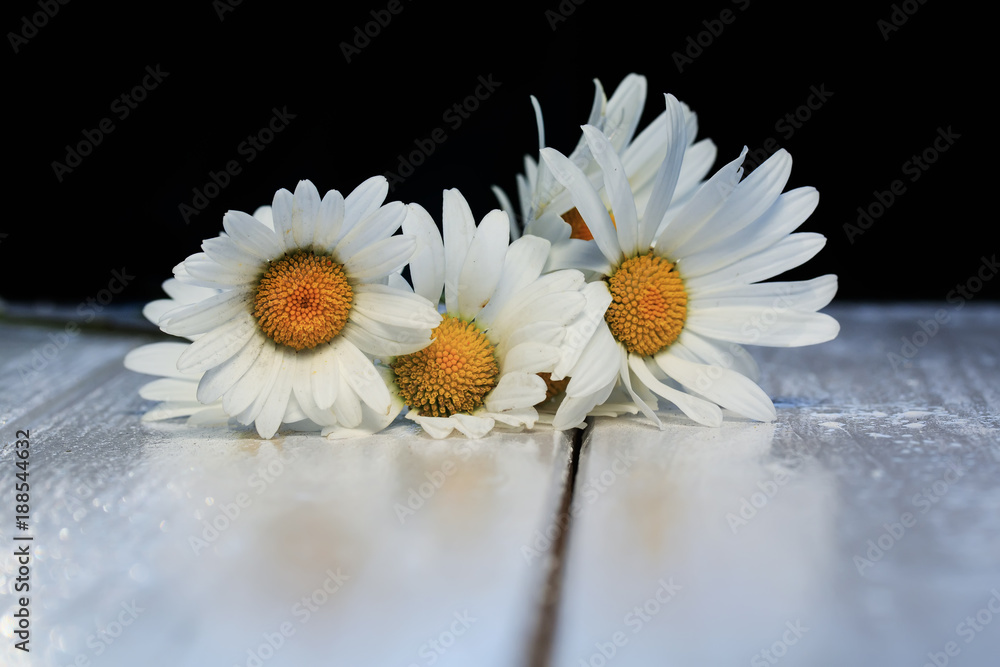 Obraz premium beautiful bouquet of delicate white flowers daisies on shiny wooden table
