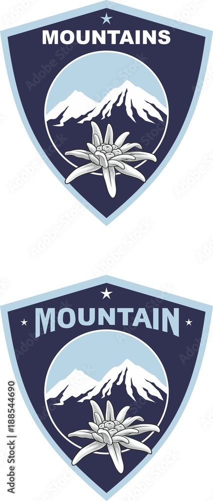 Fototapeta premium Emblem of mountain climbing. Symbol of outdoor adventure and Alp mountains. Hiking badges label. Blooming edelweiss flower. Travel, climber, camping, ski resort template. Vector silhouette.