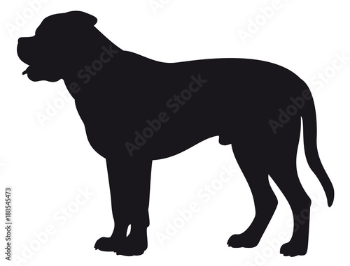 Bull Mastiff dog - Vector black silhouette isolated