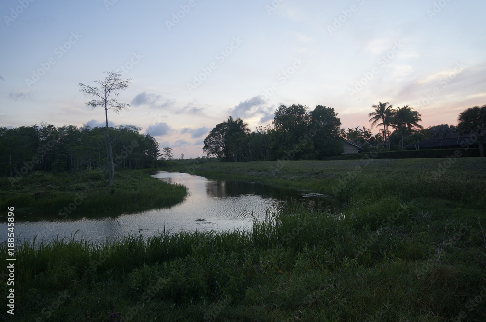 river in the swamp at sunset