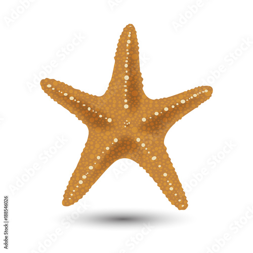 Vector illustration, badges, stickers, starfish in realistic style isolated on white. Print, template, design element