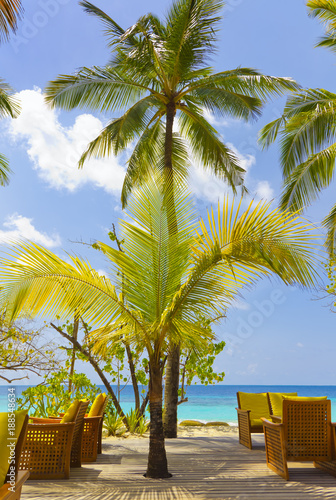 Schöne Malediventerrasse mit Palmen