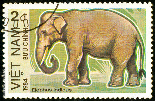 Ukraine - circa 2018: A postage stamp printed in Vietnam show Asian Elephant or Elephas maximus. Series: Endangered Animals. Series: Birds. Circa 1984.