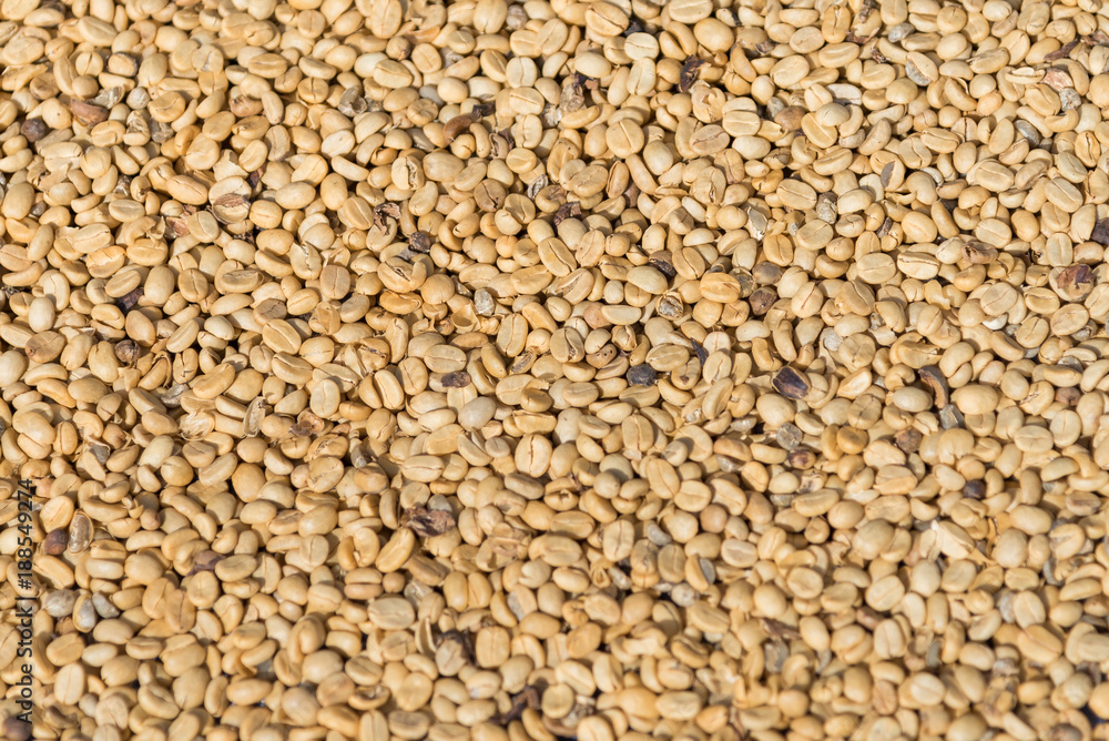 Raw coffee beans Raw coffee beans
