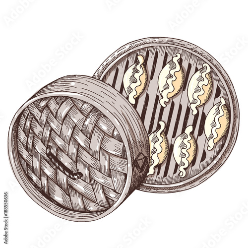 Asian dumplings in a bamboo steamer top view. Hand drawn illustration. Linear graphic. Cartoon style.
