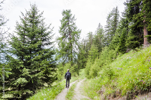 Ftan, Wanderweg, Engadin, Unterengadin, Nationalpark, Alpen, Wanderferien, Lärchenwald, Graubünden, Sommer, Schweiz