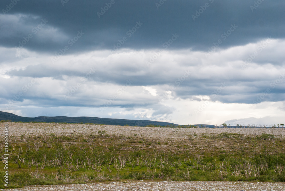 The characteristic landscape of the Arctic tundra in summer, Finnmark,