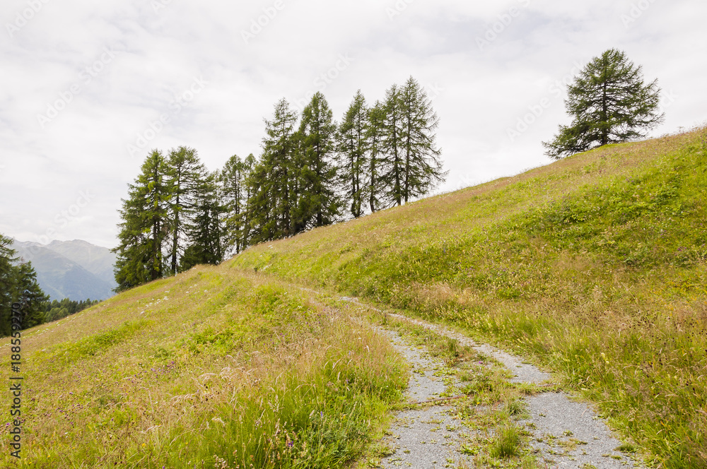 Ftan, Dorf, Engadin, Unterengadin, Wanderweg, Feldweg, Panoramaweg, Motta Naluns, Prui, Alpen, Graubünden, Inn, Fluss, Sommer, Schweiz Ftan, Dorf, Engadin, Unterengadin, Wanderweg, Feldweg, Panoramaweg, Motta Naluns, Prui, Alpen, Graubünden, Inn, Fluss, Sommer, Schweiz
