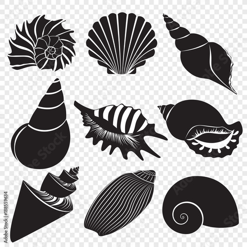 Vector sea shells black silhouettes isolated on the alpha transperant background.