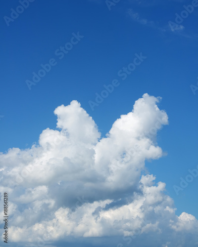 One big cloud against sky. Cloudy blue sky over horizon. © Gray wall studio