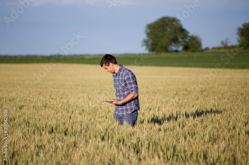 Farmer with tablet in wheat field © Budimir Jevtic