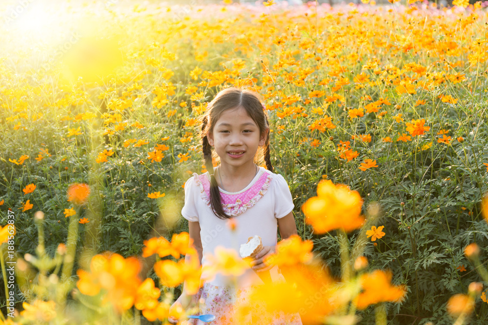 The little girl in the field of cosmos yellow flowers at sunlight in the morning The little girl in the field of cosmos yellow flowers at sunlight in the morning