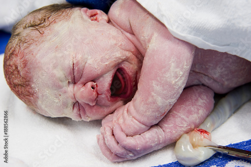 Portrait of crying newborn
