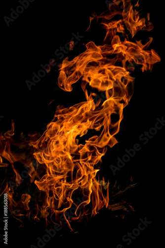 Vertical photo of the bonfire flame on dark background