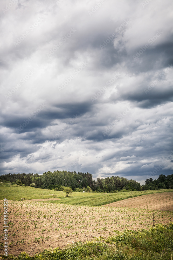 Stormy cloudscape over fields and pasture