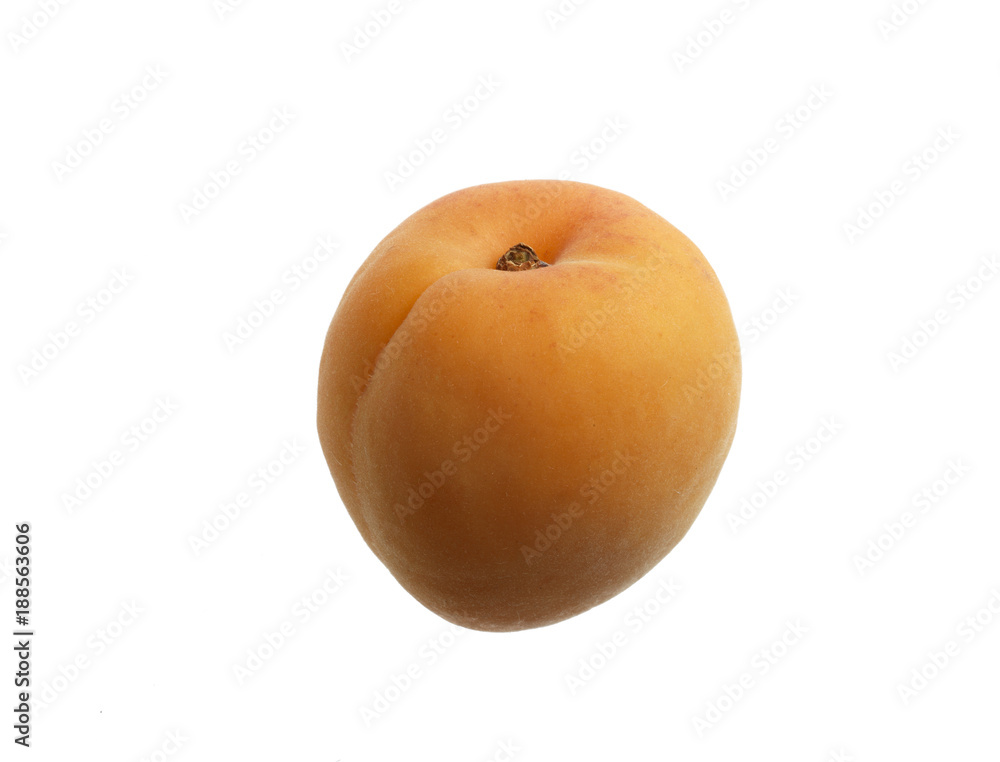 apricot on white background apricot on white background