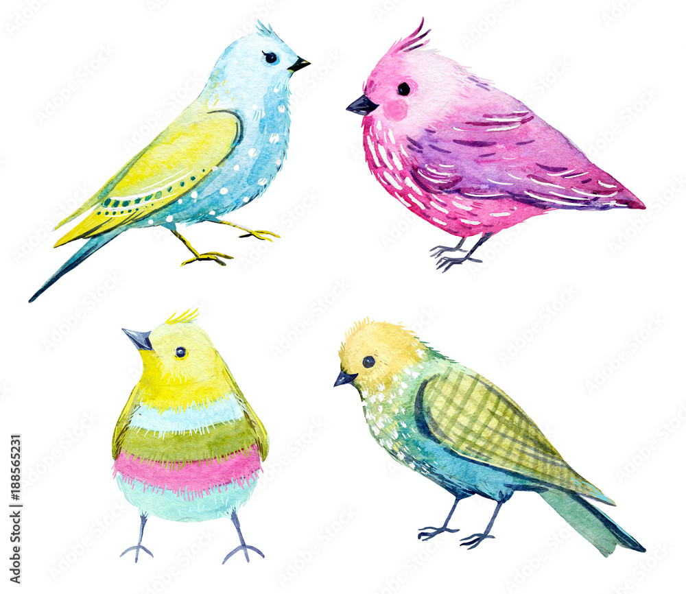 Watercolor bird set