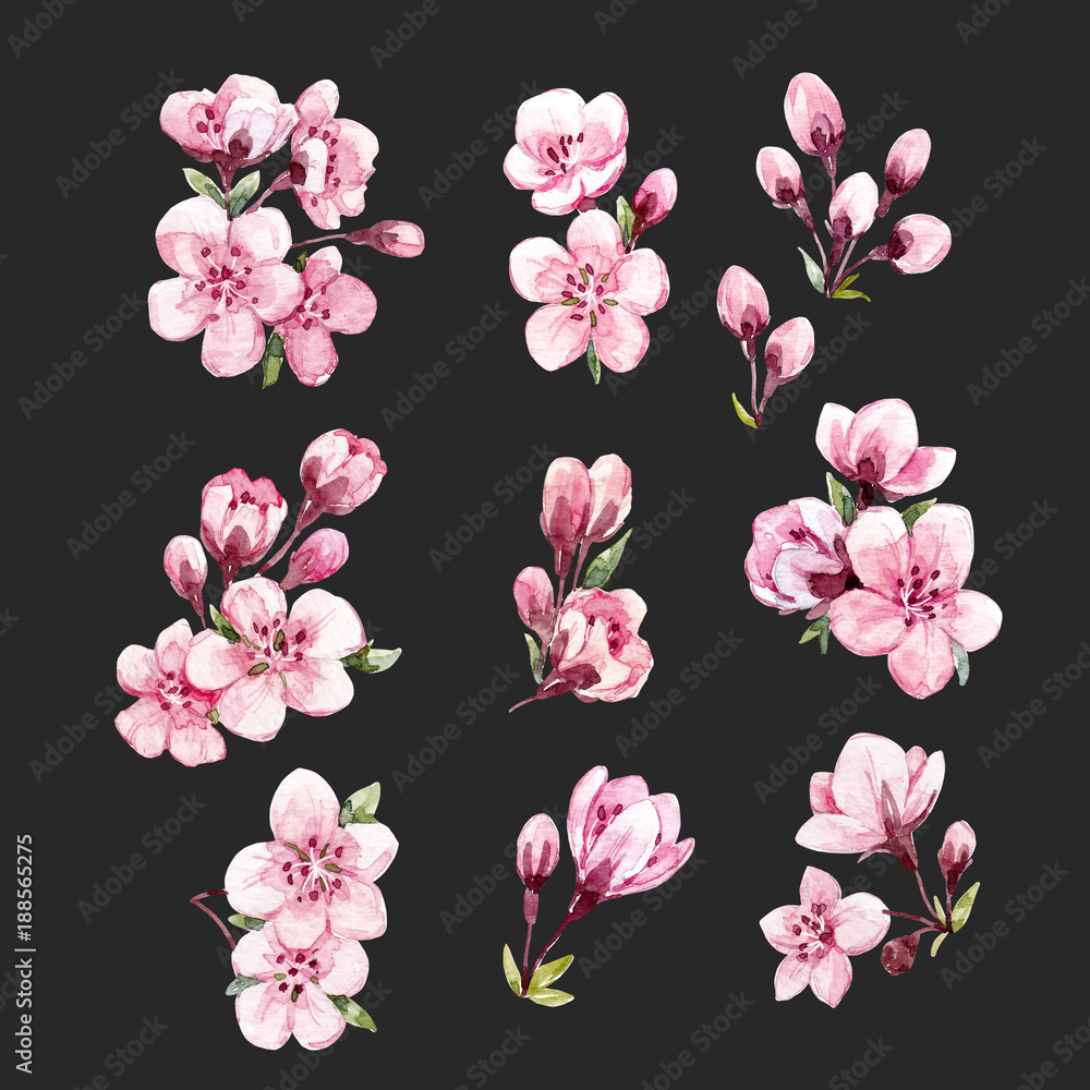 Watercolor floral sakura set