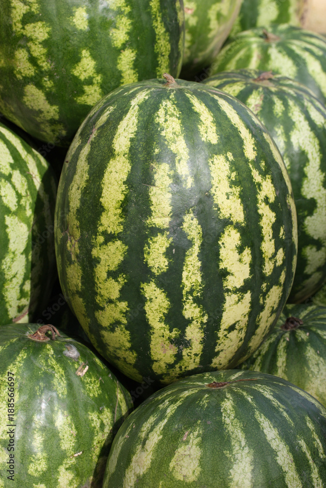 Water-melon close up