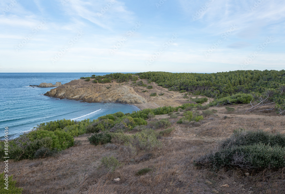 In the port of the jungle, costa brava, Girona In the port of the jungle, costa brava, Girona