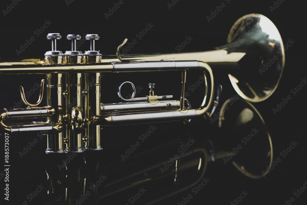 Obraz premium trumpet