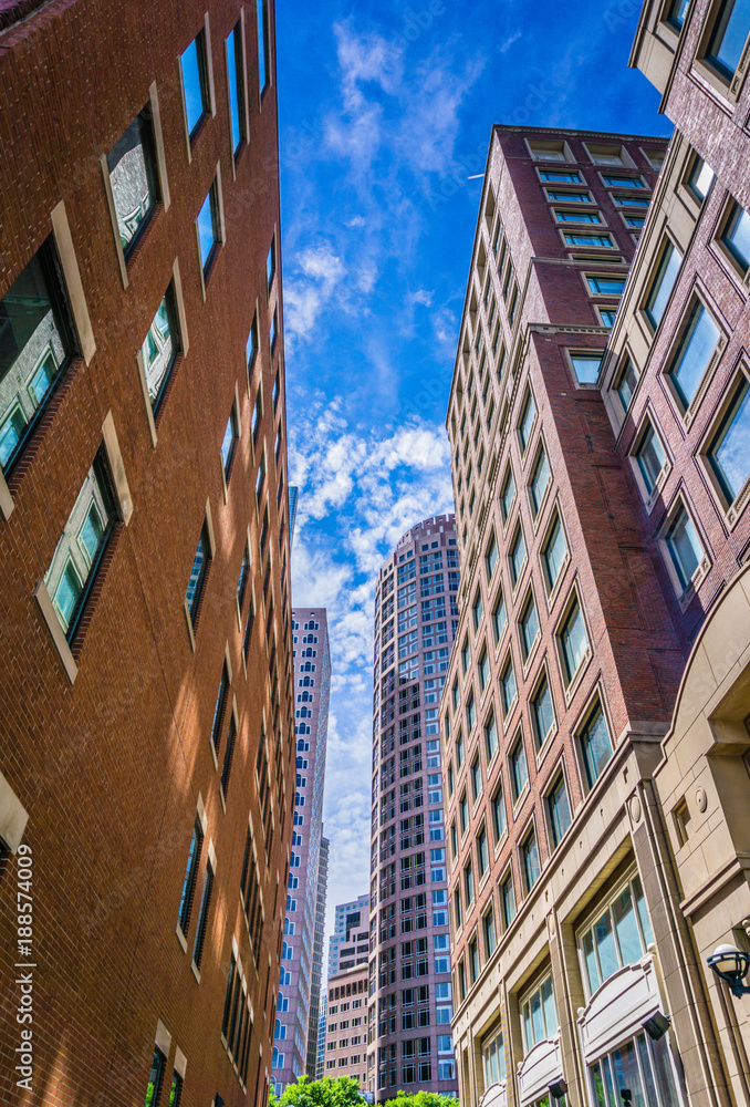 Fototapeta premium Picturesque Downtown Boston MA
