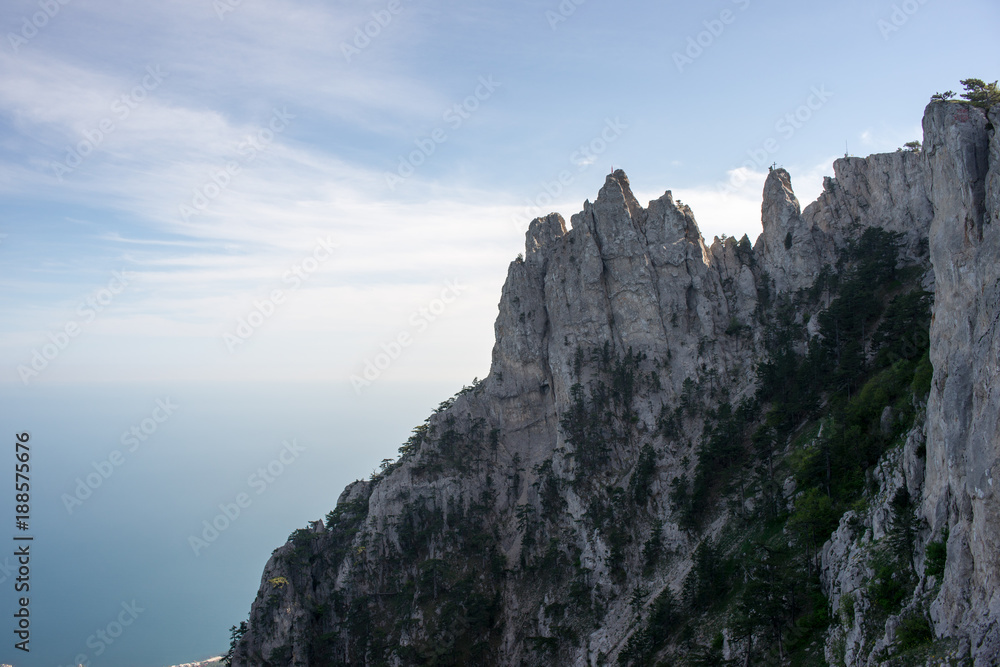 Naklejka premium SONY DSC