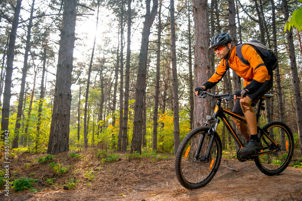 Cyclist in Orange Riding the Mountain Bike on the Trail in the Beautiful Pine Forest Lit by Bright Sun.