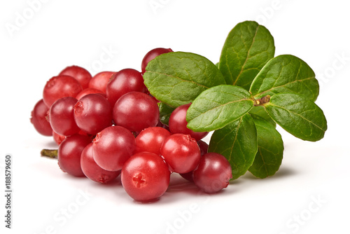 Cranberry with leaves, close-up, isolated on white background.