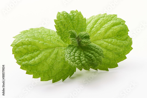 Fresh mint leaves, close-up, isolated on white background.
