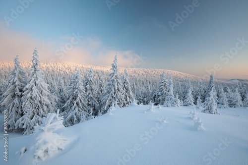 Winter landscape at dawn