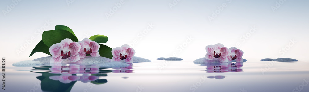 Fototapeta Orchidee z kamieniami w jeziorze