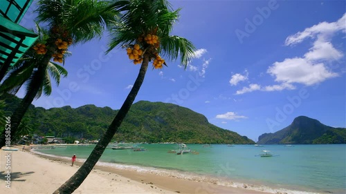 King Coconut Palm Trees & Boats In Bay; El Nido Beach; El Nido, Palawan, Philippines photo