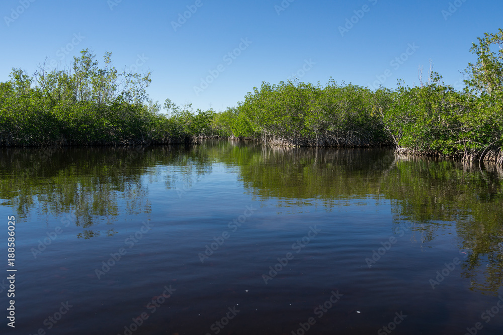 USA, Florida, Reflecting water and mangrove woods in everglades national park USA, Florida, Reflecting water and mangrove woods in everglades national park