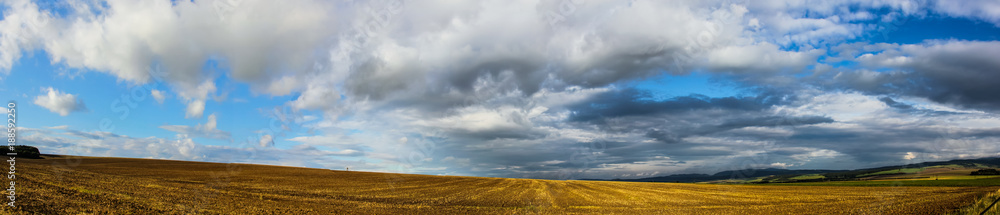 a field with a beautiful sky, a hunting place, and birds a field with a beautiful sky, a hunting place, and birds