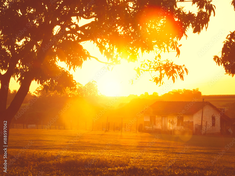 Foto de sol nascendo na fazenda do Stock | Adobe Stock