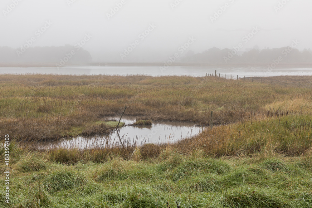 misty morning over inlet and marshland