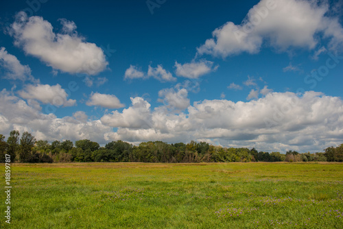 clouds and forest in a meadow rural landscape. Sunny day.