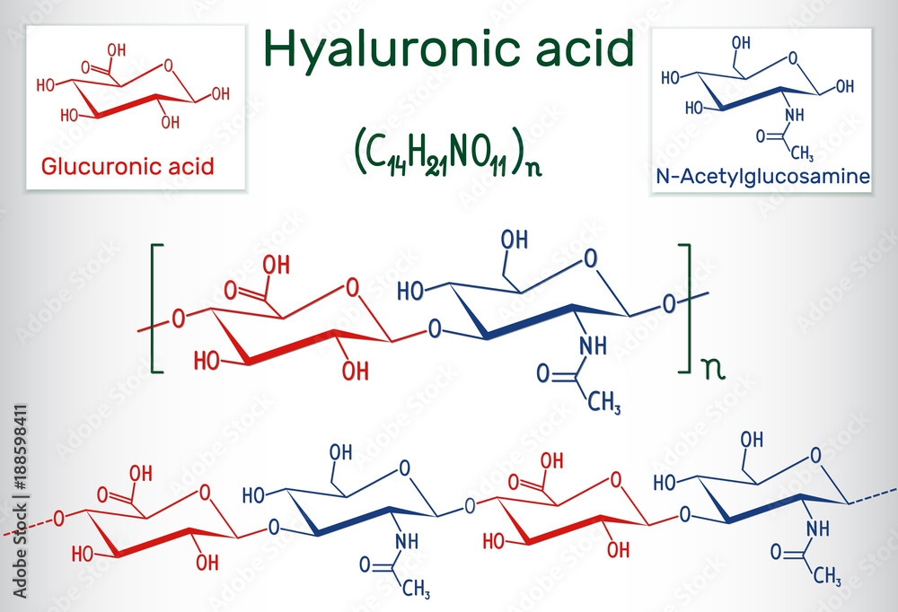 Hyaluronic acid (HA, hyaluronate, hyaluronan ) macromolecule. It is