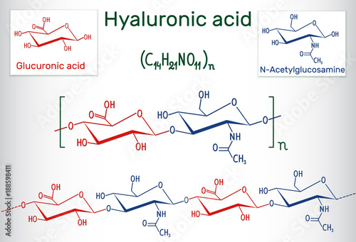 Hyaluronic acid (HA, hyaluronate, hyaluronan ) macromolecule. It is composed of repeating disaccharide units of N-acetylglucosamine and D-glucuronic acid. Structural chemical formula. Vector EPS 10