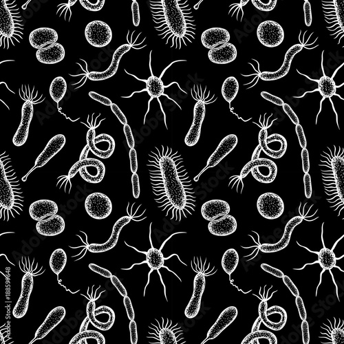 pattern of the various bacterias