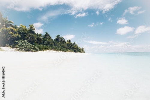 Beach at Fiji Islands  photo