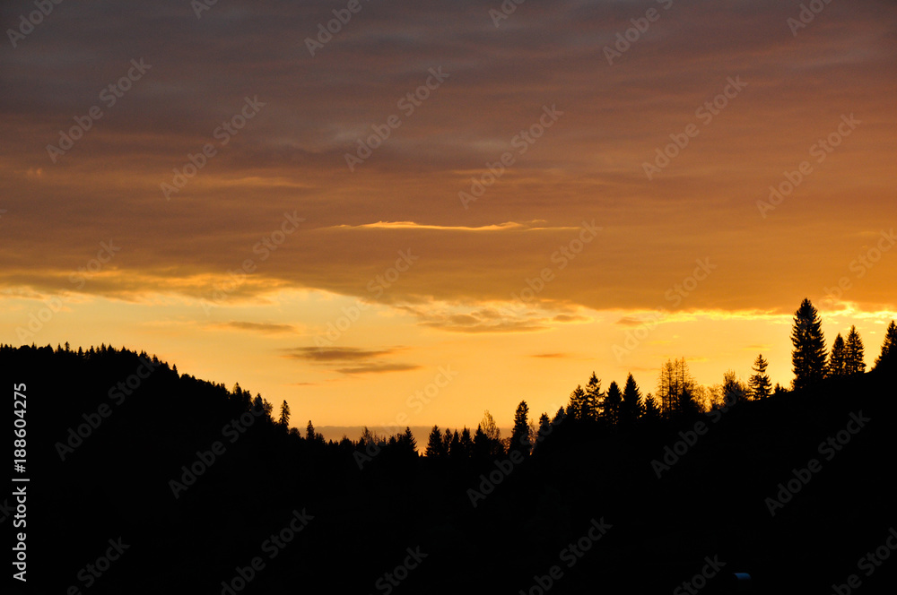 Sunset over a forest